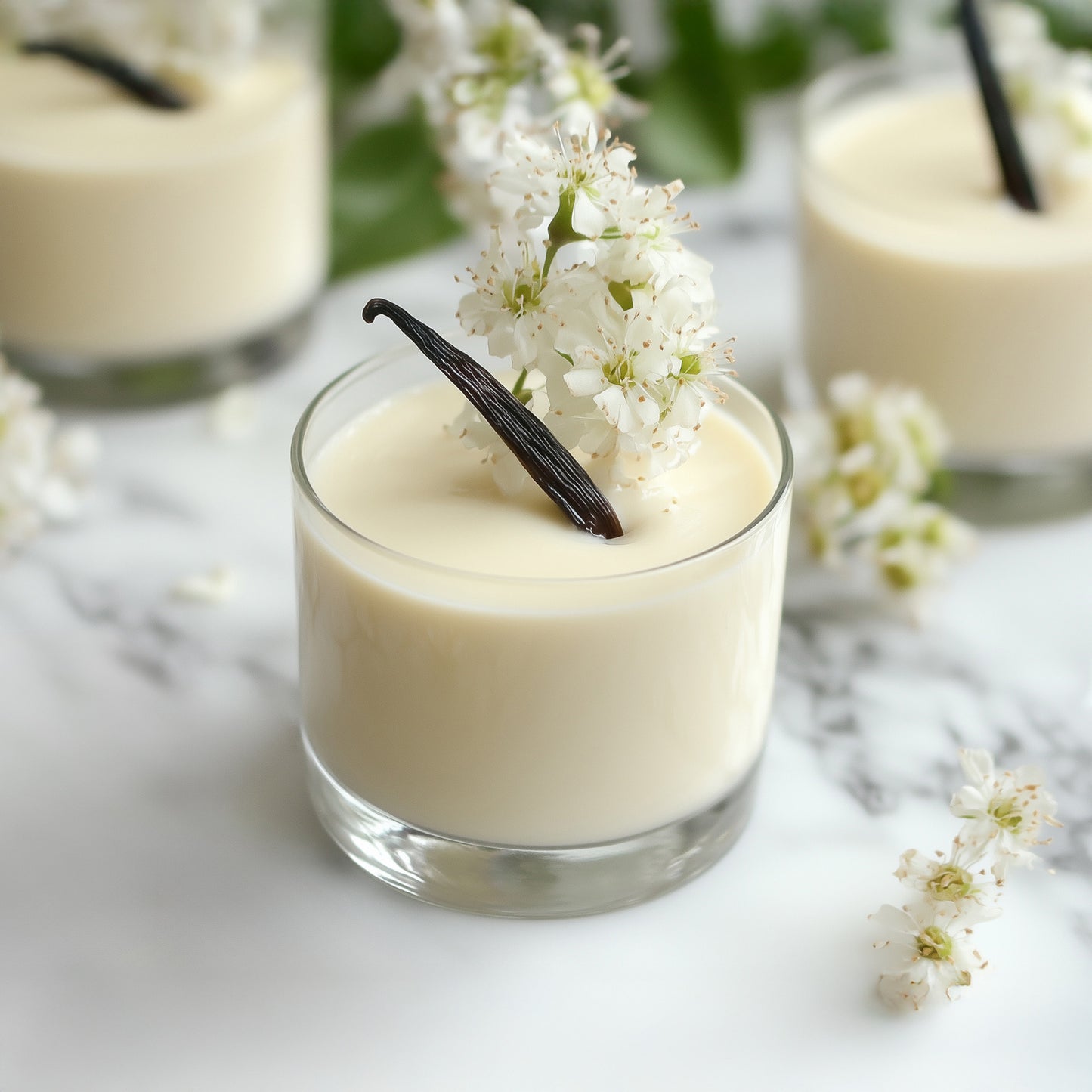 Pannacotta vanille